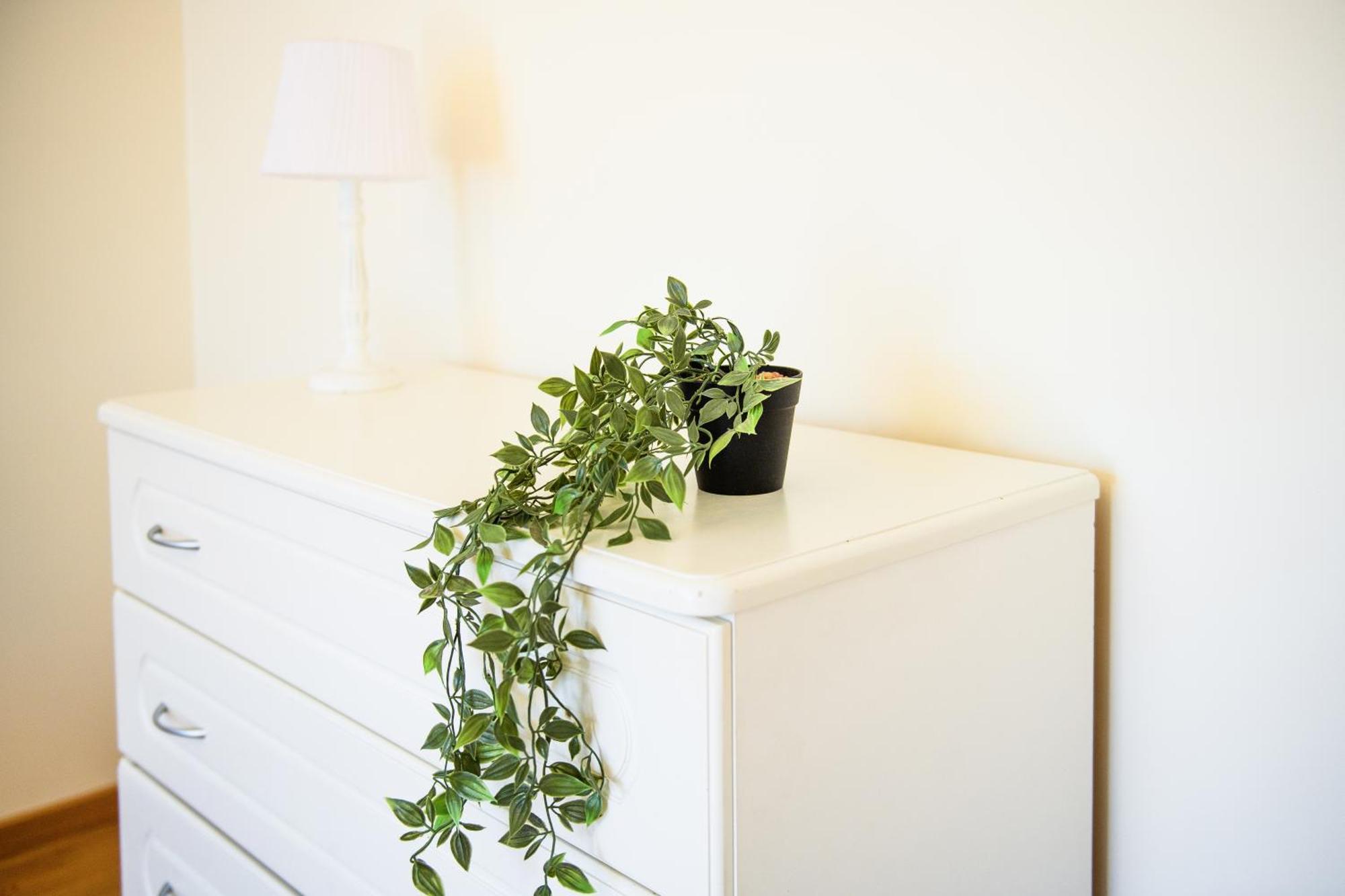 Elegance 1 Bedroom